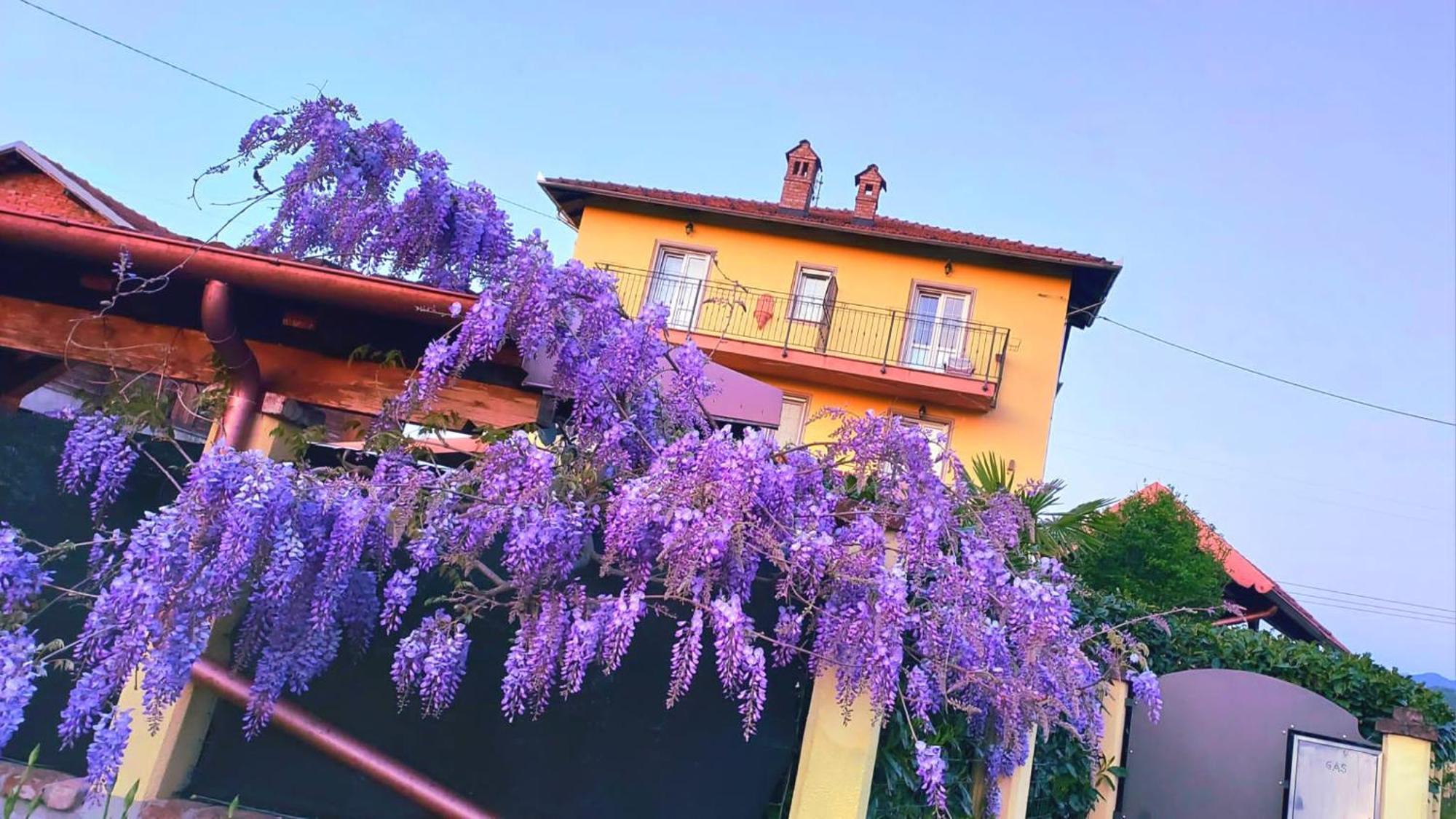 B&B Villa S Anna Hospitality Solutions Arquata Scrivia Extérieur photo